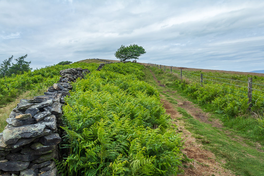Foxlow Edge